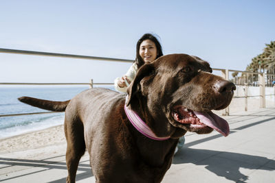 Woman with labrador dog by railing at beach on sunny day