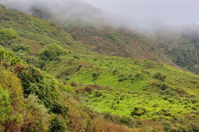 Scenic view of landscape