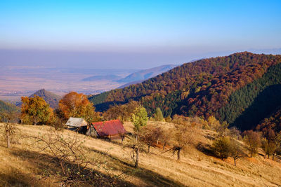 Hills in the fall season, fantanele village, sibiu county, romania