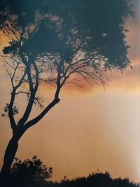 Low angle view of silhouette tree against sky during sunset