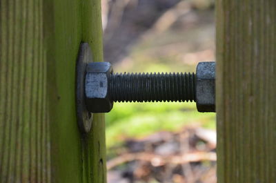 Close-up of metallic wood