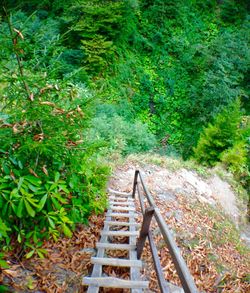 Footbridge leading to steps