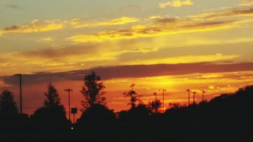 Silhouette of trees at sunset