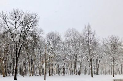 Bare trees on snow covered land against sky