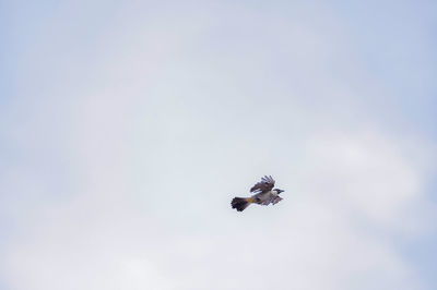 flying