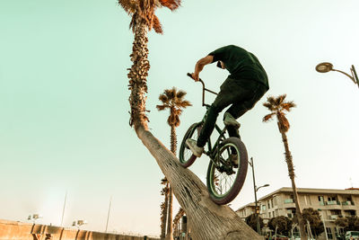 Low angle view of man riding bicycle on tree trunk against clear sky