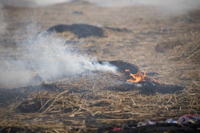 Close-up of bonfire