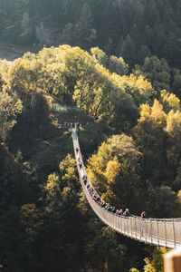 High angle view of road amidst trees in forest