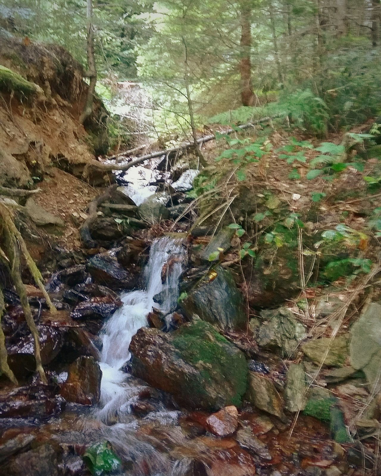 Fojnica