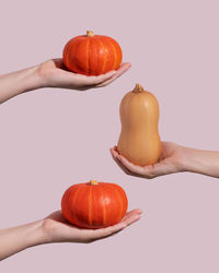 Female hands holding small orange and yellow pumpkins on a pink background