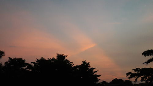 Low angle view of silhouette trees against sky during sunset