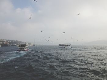 Birds flying over ferries sailing in sea against sky