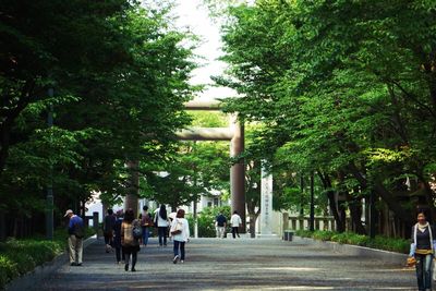 People walking on street leading towards hokkaido jingu