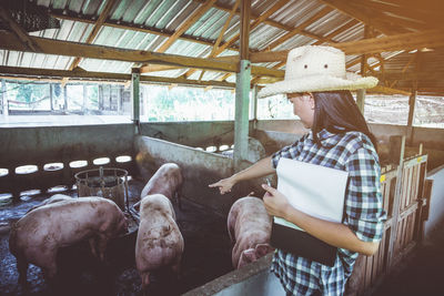 Female veterinarian pointing while inspecting pigs in shed