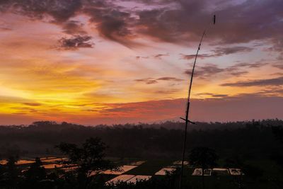 Silhouette trees against dramatic sky during sunset