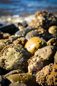 Close-up of rocks