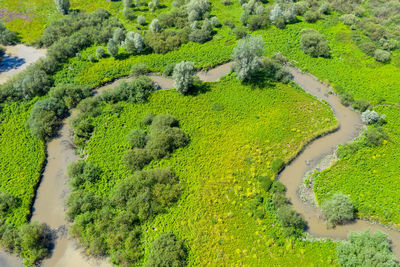 The sutla or sotla river, a border of croatia and slovenia