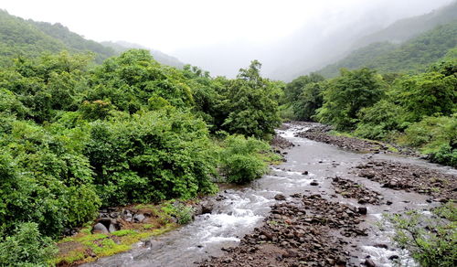 River in a valley