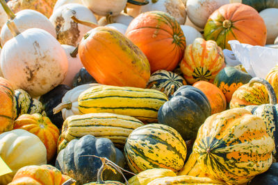 Close-up of pumpkins for sale at market stall