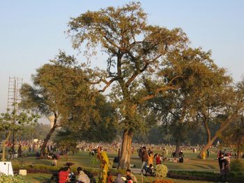 People relaxing in park