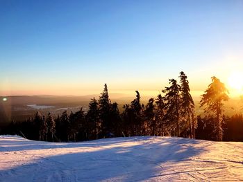 Snow covered plants against sky during sunset