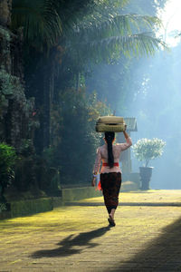 Rear view of balinese woman with offering walking to the temple