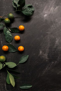 High angle view of fruits and leaves on table