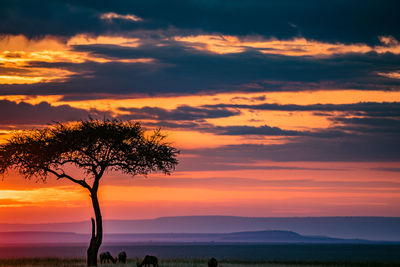 Silhouette tree on field against romantic sky at sunset