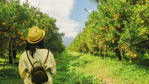 Rear view of woman standing against trees