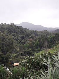 Scenic view of mountains against clear sky