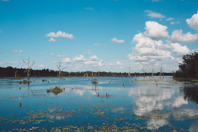 Scenic view of lake against blue sky