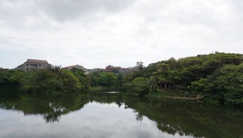 Reflection of trees in water