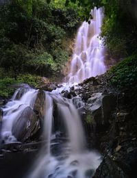 Waterfall in forest