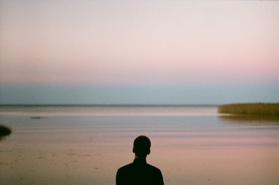 Rear view of man at beach against sky