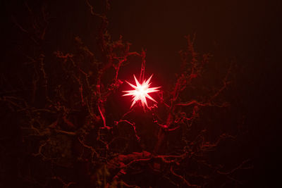 Low angle view of firework display at night