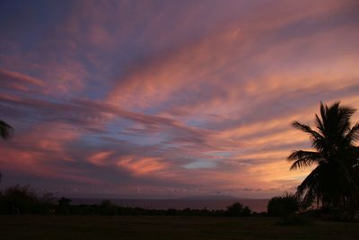 Silhouette trees on field against sky during sunset