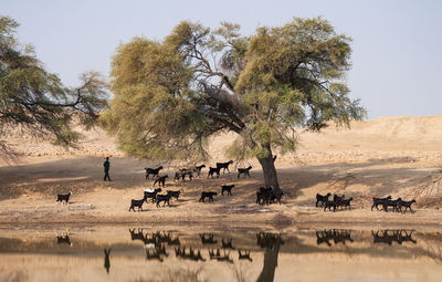 Group of people in the lake