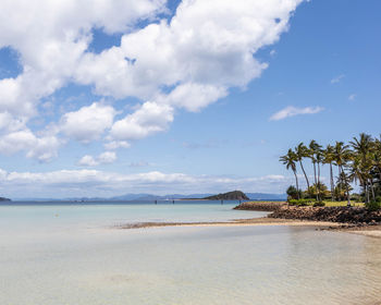 Scenic view of beach against sky
