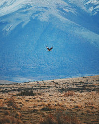 Bird flying over landscape against sky