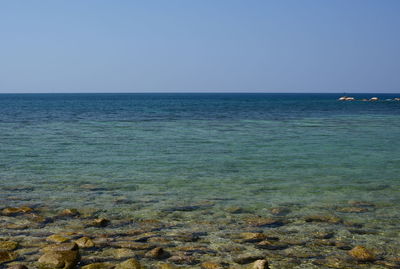 Scenic view of sea against clear blue sky