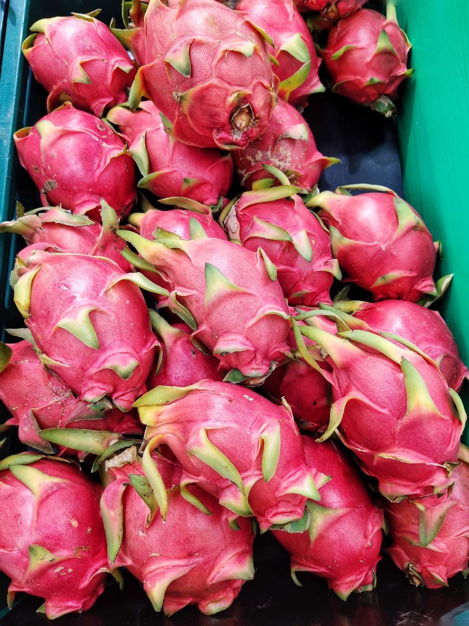 CLOSE-UP OF PINK FLOWERS FOR SALE