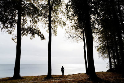 Silhouette man standing by tree against sky