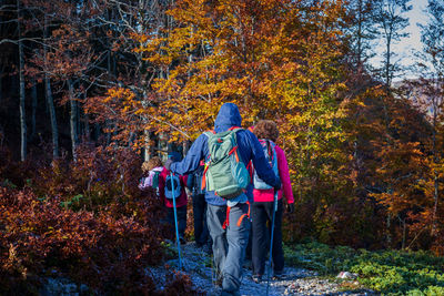 Rear view of people on road amidst trees during autumn