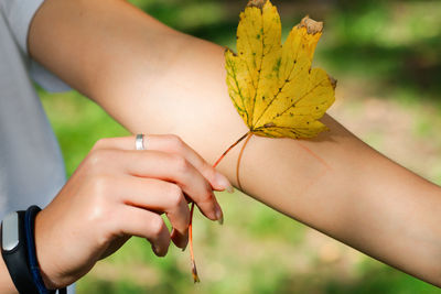 Close-up of hand holding yellow flower