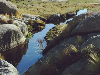 Rocks in sea