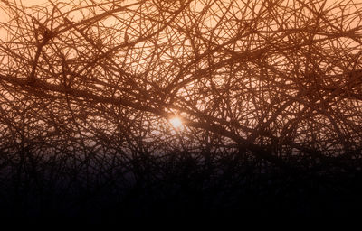 Silhouette trees against sky during sunset