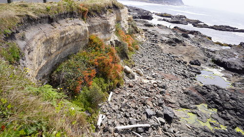 Scenic view of waterfall