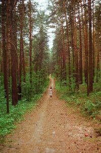 Woman standing on pathway in forest
