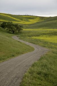 Empty road amidst field against sky