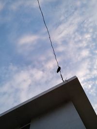 Low angle view of bird on building against sky